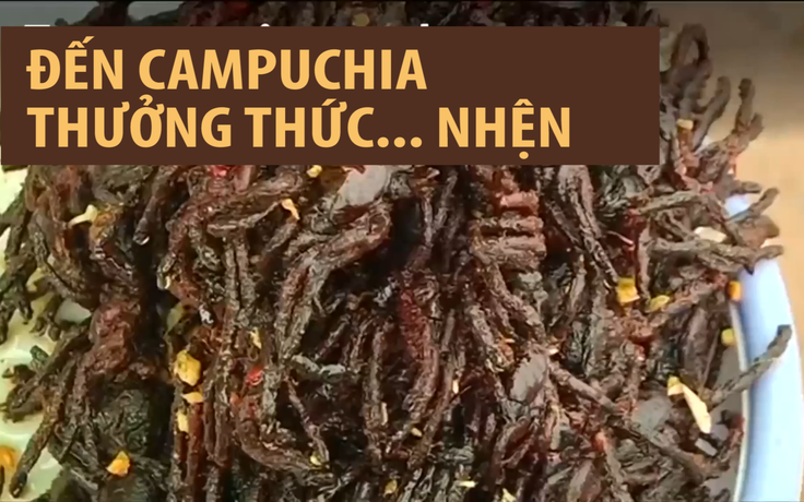 Đến Campuchia thưởng thức... nhện