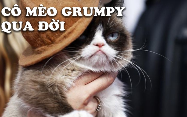 Cô mèo Grumpy - hiện tượng mạng hài hước qua đời