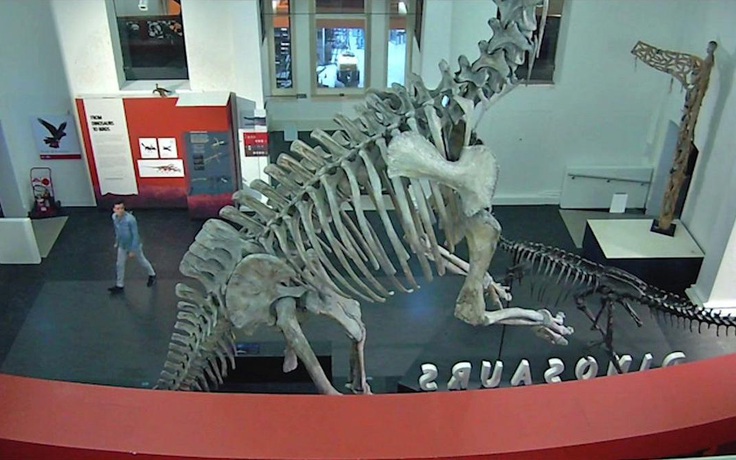 Đột nhập bảo tàng, chụp hình 'tự sướng' với khủng long