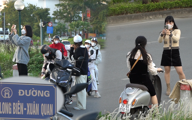 Bất chấp nguy hiểm đậu xe dưới lòng đường chụp ảnh với bãi cỏ lau Long Biên