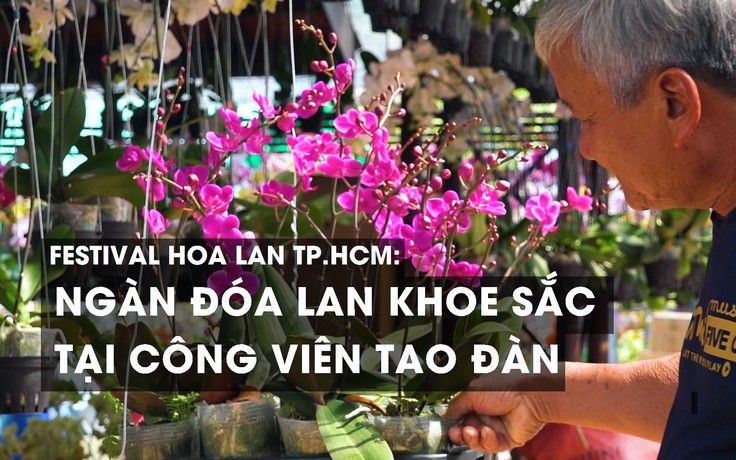 Festival Hoa lan TP.HCM: Ngàn đoá lan khoe sắc tại công viên Tao Đàn