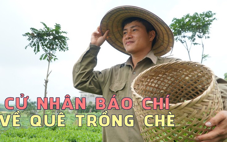 Cử nhân trường báo chí về quê trồng chè, ướp sen giá gần 10 triệu mỗi cân