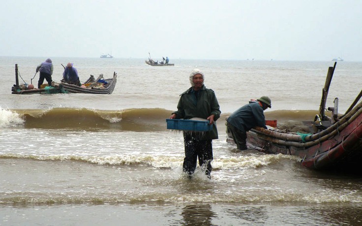 Trúng đậm mùa moi biển, ngư dân Thanh Hóa thu tiền triệu mỗi ngày