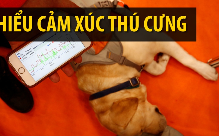 Hiểu cảm xúc thú cưng nhờ áo khoác cảm biến