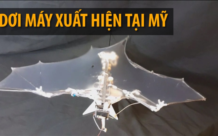 Dơi máy xuất hiện tại Mỹ