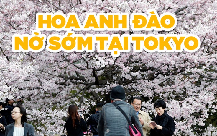 Người Nhật hào hứng thưởng hoa anh đào nở sớm tại Tokyo