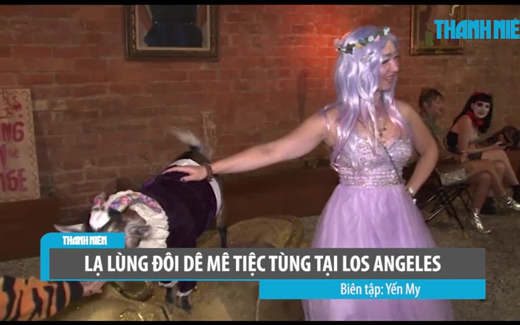 Lạ lùng đôi dê mê tiệc tùng tại Los Angeles