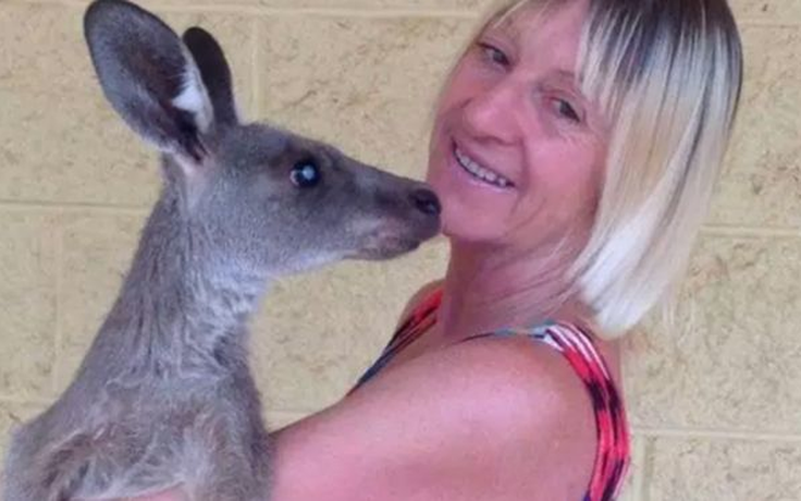Người chăm thú hoang bị kangaroo tấn công