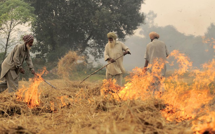 Tới mùa đốt đồng, New Delhi lại nhức đầu