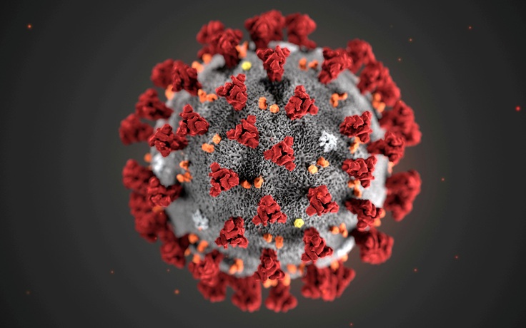 Virus corona sống sót bao lâu trên các bề mặt?