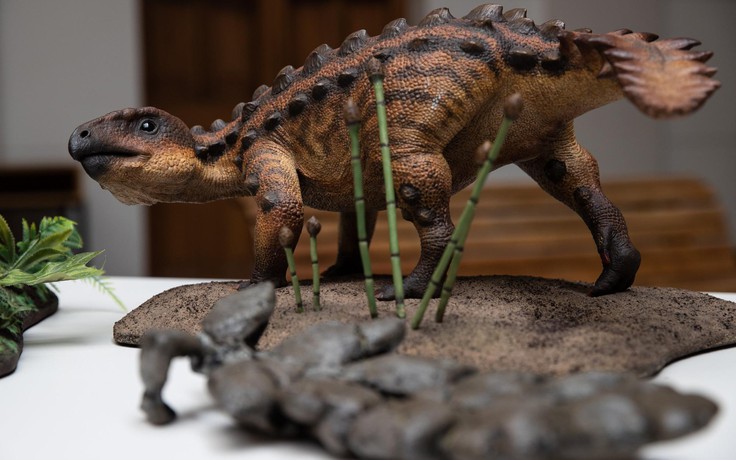 Tìm ra loài khủng long thân giáp có đuôi như vũ khí của người Aztec