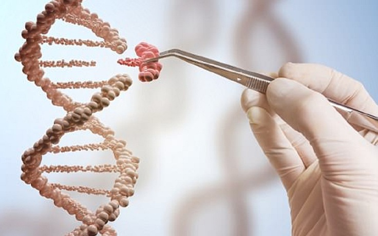 Đã tạo ra 2 trẻ sinh đôi được chỉnh sửa gien đầu tiên trên thế giới?