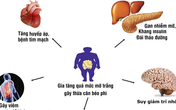 Chọn giảm cân an toàn để khỏe mạnh và hạnh phúc