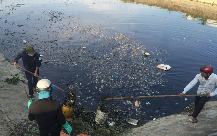 Lấy mẫu nước tìm nguyên nhân cá chết ở Đà Nẵng, Thừa Thiên-Huế
