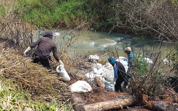 Thiêu hủy hàng trăm xác heo vứt dọc suối Đa Me