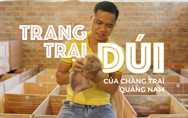 Bỏ phố về quê nuôi dúi, chàng trai Quảng Nam thu cả trăm triệu mỗi năm