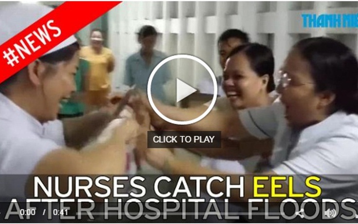 Clip báo Thanh Niên 'y tá bắt lươn trong bệnh viện' gây sốt báo chí thế giới