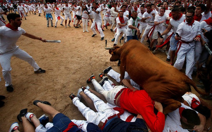 Nhiều người bị thương tại lễ hội đua bò tót Tây Ban Nha