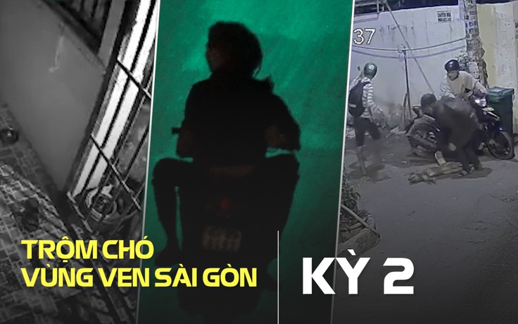 Táo tợn trộm chó ở vùng ven Sài Gòn – Kỳ 2: Trò bất lương bạc triệu