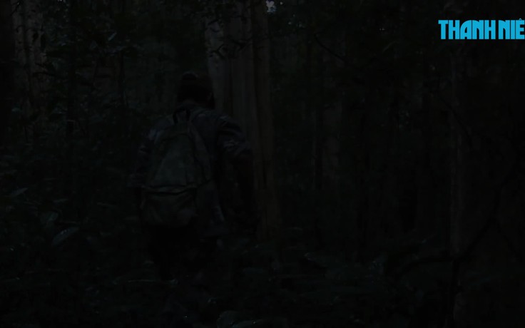 Ký sự Bí mật rừng già - Kỳ 3: Đi xem thú đêm