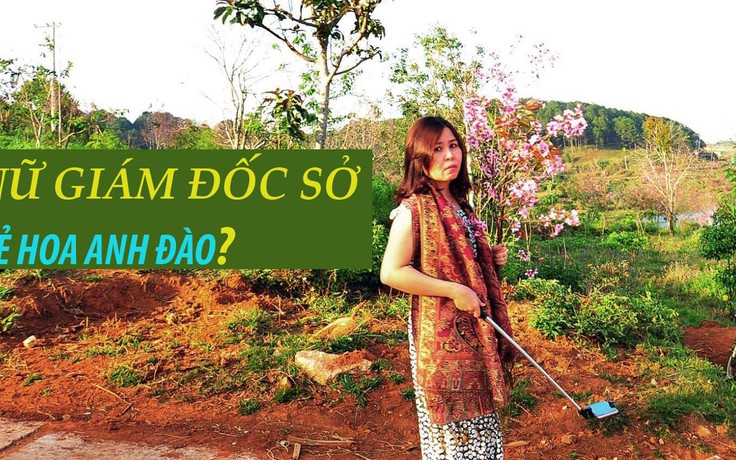 Nữ Phó giám đốc Sở Tư pháp Bình Thuận nói về chuyện “bẻ hoa mai anh đào“