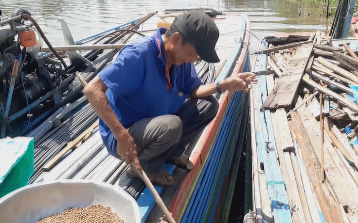 Kỳ lạ chuyện cưu mang đàn cá ở bến sông, người đàn ông càng “ăn nên làm ra”