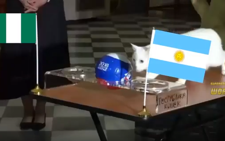 Tiên tri mèo điếc thắp hy vọng cho người Argentina