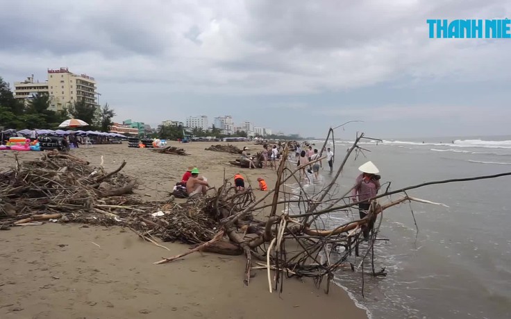 Du khách tắm cạnh hàng ngàn tấn rác trên bãi biển Sầm Sơn