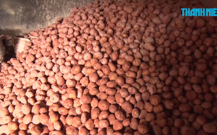 Chợ nông sản Đà Lạt chính thức "cấm cửa" khoai tây, cà rốt Trung Quốc