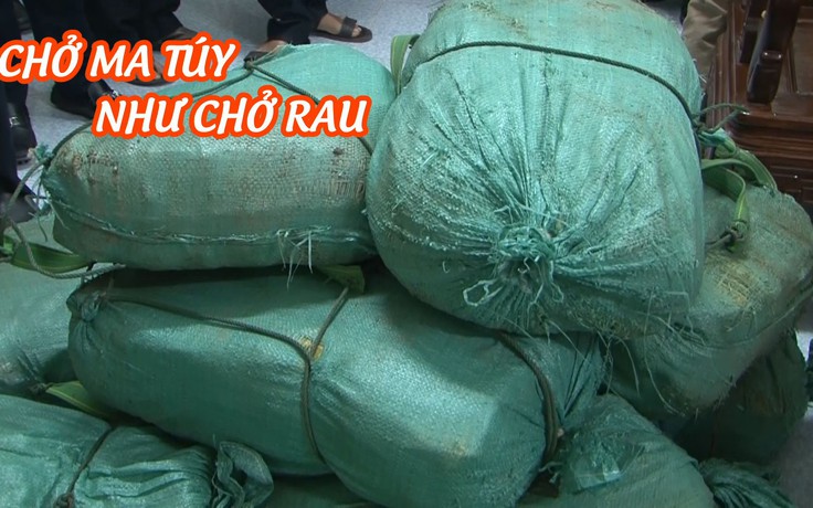 Rợn tóc gáy với vụ vận chuyển 300 kg ma túy đá từ Lào về Việt Nam