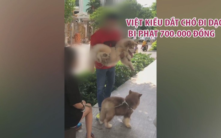 Phạt cặp vợ chồng Việt kiều dắt chó đi dạo xúc phạm bác bảo vệ