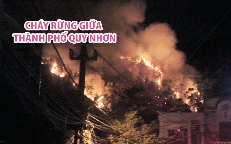 Nửa đêm náo loạn vì cháy rừng trên ngọn núi giữa thành phố Quy Nhơn