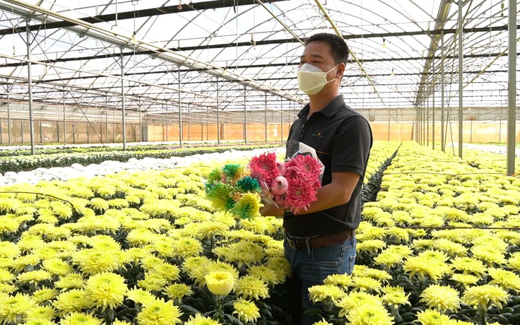 Thăm trang trại hoa lớn nhất Việt Nam những ngày tất bật trước Tết Nhâm Dần