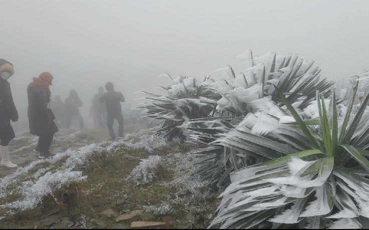 Băng giá đóng dày đặc trên đỉnh Mẫu Sơn, du khách đổ về ngày càng đông