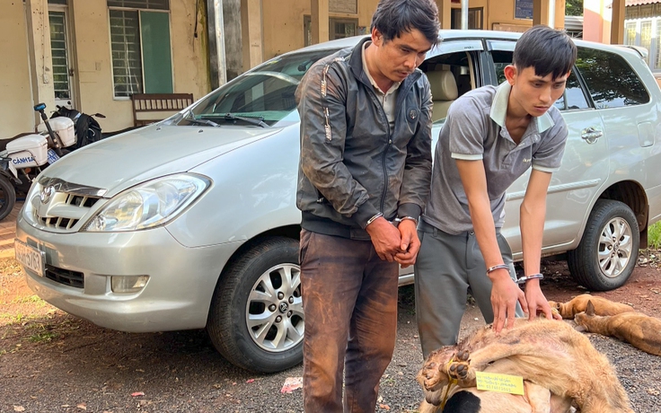 CSGT truy đuổi hơn 10km bắt 2 người lái ô tô đi trộm chó lúc rạng sáng