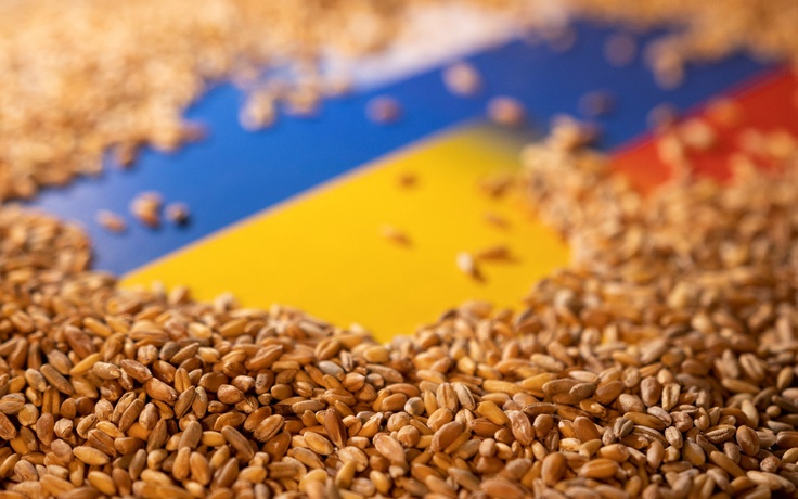 Ukraine mở hành lang xuất khẩu ngũ cốc qua Ba Lan, Romania nhưng chưa thông suốt