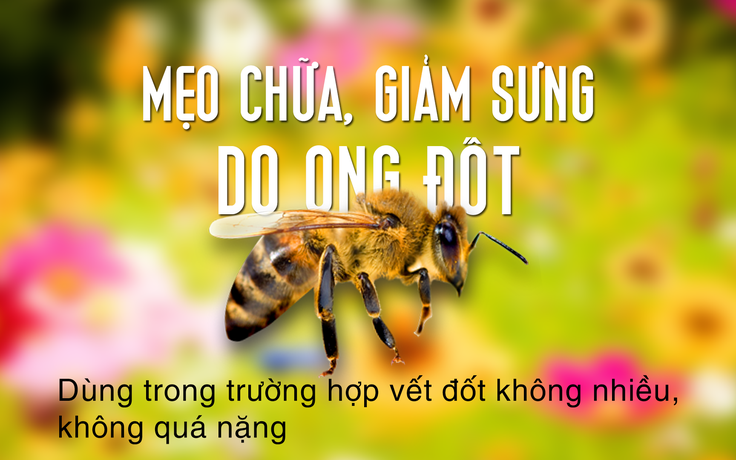 Mẹo vặt: Chữa, giảm sưng khi bị ong đốt