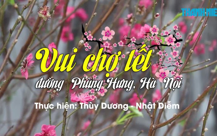 Vui chợ tết đường Phùng Hưng, Hà Nội