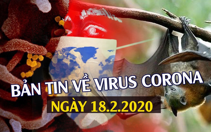 Bản tin về virus corona ngày 18.2.2020: Nguyên nhân dịch Covid-19 đến từ đâu?