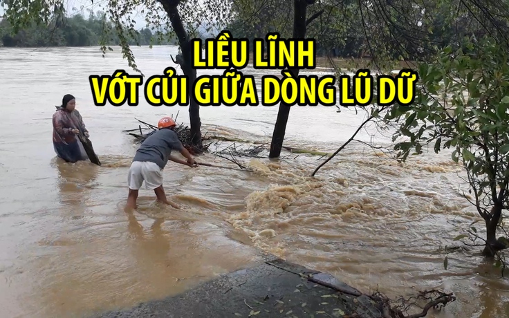 Bất chấp lũ dữ, già trẻ vẫn liều lĩnh ra sông vớt củi