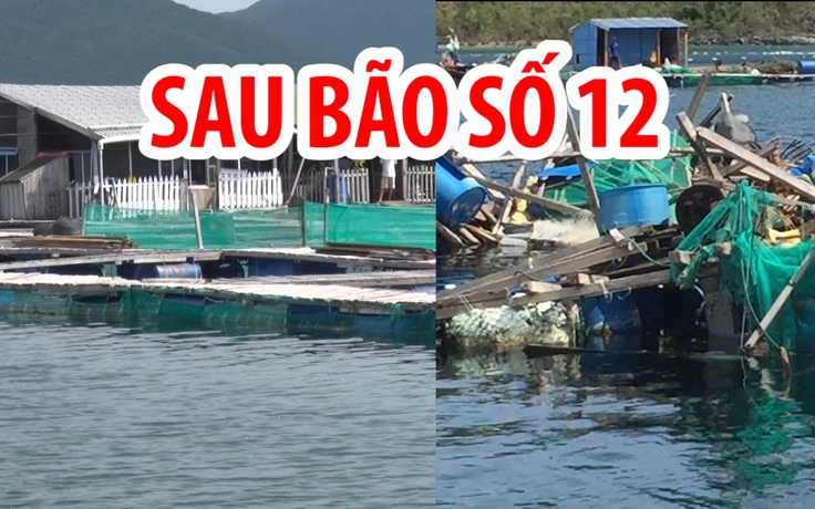 Ngư dân nơi mắt bão số 12 gượng dậy sau bộn bề