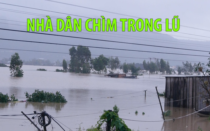 Hàng ngàn nhà dân ở Bình Định chìm trong lũ