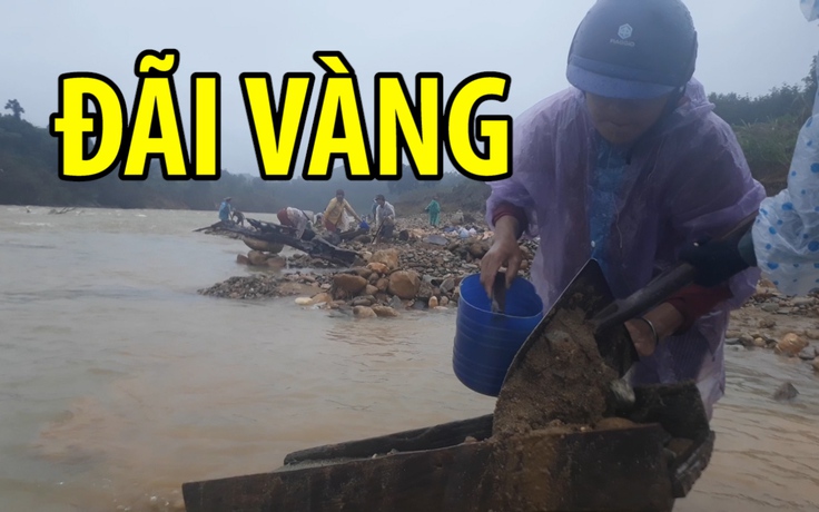 Liều mình đãi vàng trong sông chảy xiết