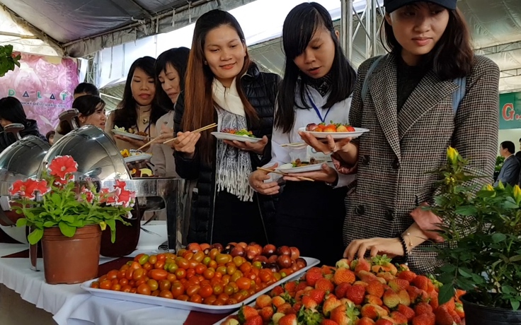 Ngắm sắc màu Đà Lạt trong phiên chợ hoa, được ăn buffet miễn phí