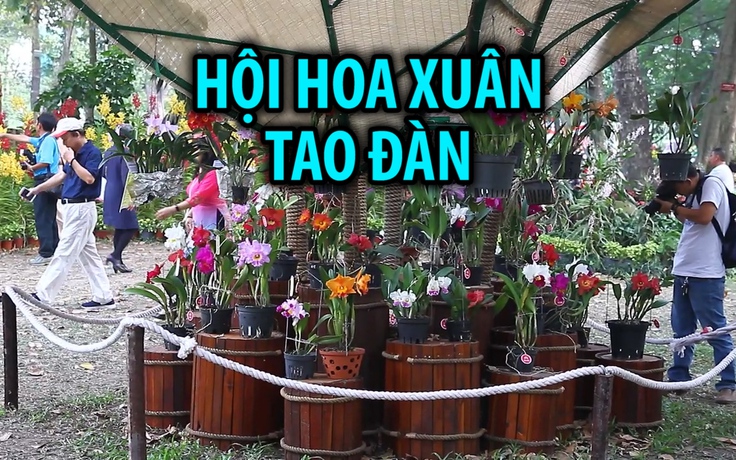 Hàng trăm loài hoa lan khoe sắc ở Hội hoa xuân Tao Đàn