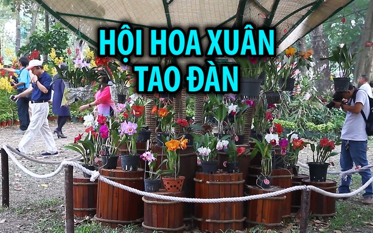 Hàng trăm loài hoa lan khoe sắc ở Hội hoa xuân Tao Đàn