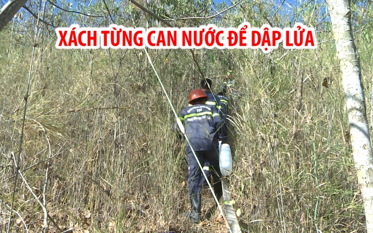 Cả trăm người xách từng can nước lên núi để dập đám cháy rừng