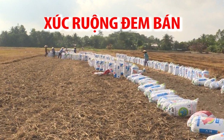 Xúc ruộng đem bán bất chấp hệ lụy