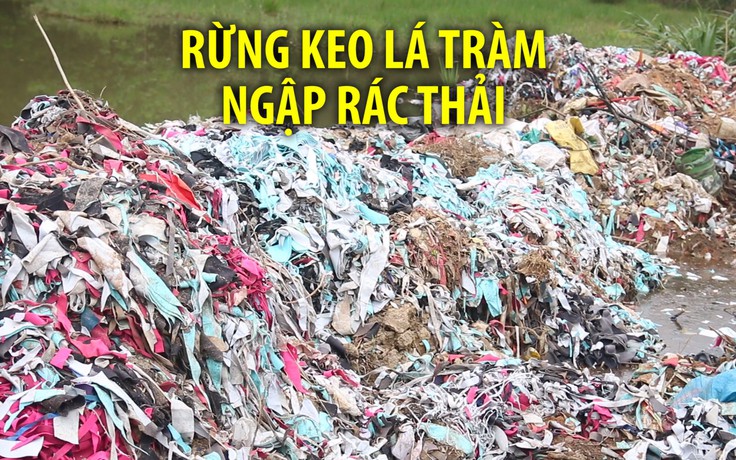 Rừng keo lá tràm ngập rác thải, chính quyền địa phương không hay biết