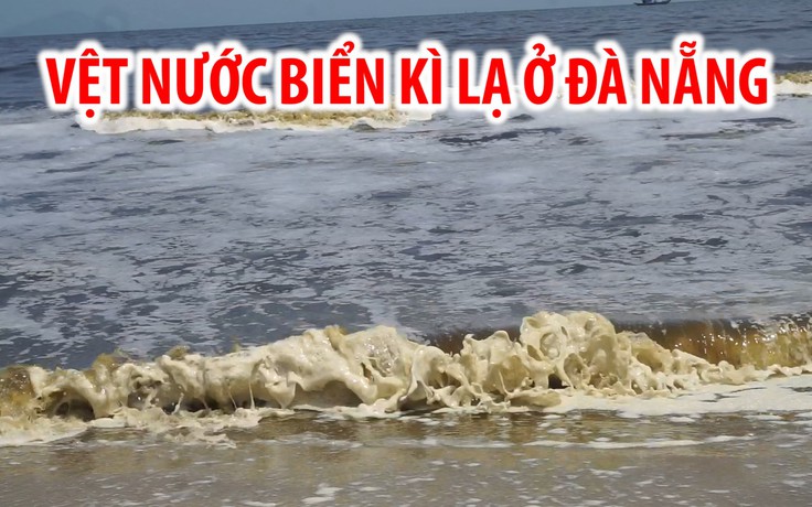Vệt nước kì lạ ở Đà Nẵng: Xuất hiện tảo khi nước biển đổi màu
